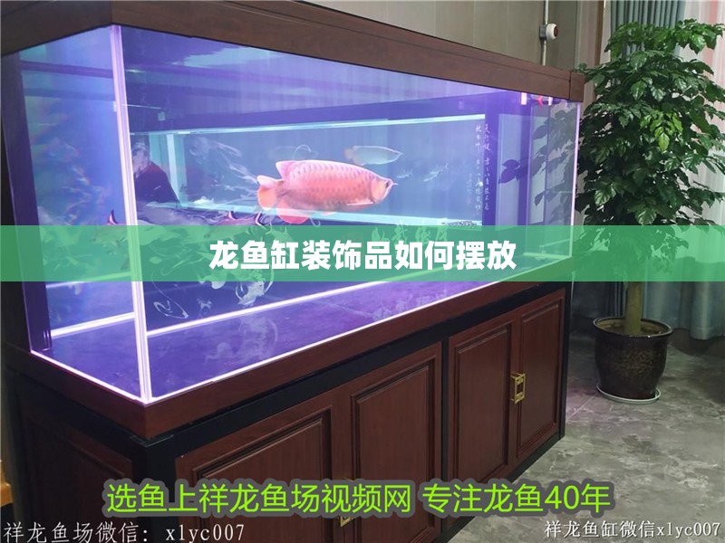 龍魚缸裝飾品如何擺放