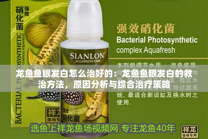龍魚魚眼發(fā)白怎么治好的：龍魚魚眼發(fā)白的救治方法，原因分析與綜合治療策略