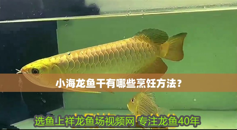 小海龍魚干有哪些烹飪方法？