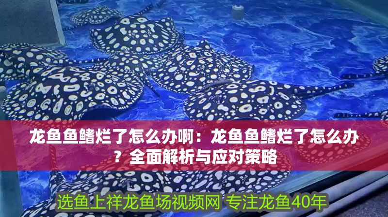 龍魚魚鰭爛了怎么辦啊：龍魚魚鰭爛了怎么辦？全面解析與應(yīng)對策略
