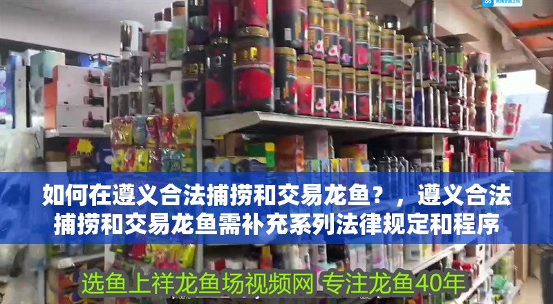 如何在遵義合法捕撈和交易龍魚？，遵義合法捕撈和交易龍魚需補充系列法律規定和程序