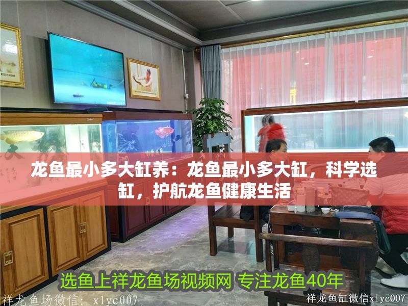 龍魚最小多大缸養：龍魚最小多大缸，科學選缸，護航龍魚健康生活