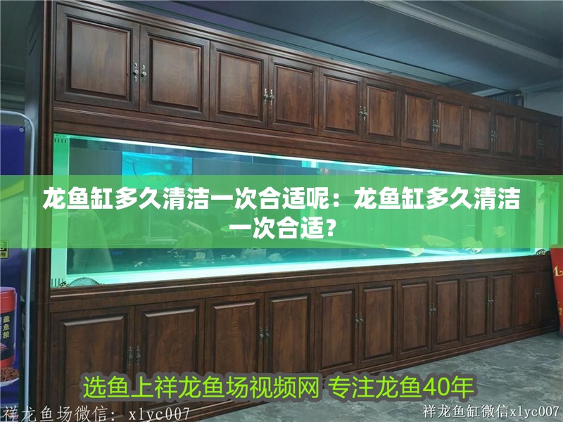 龍魚缸多久清潔一次合適呢：龍魚缸多久清潔一次合適？