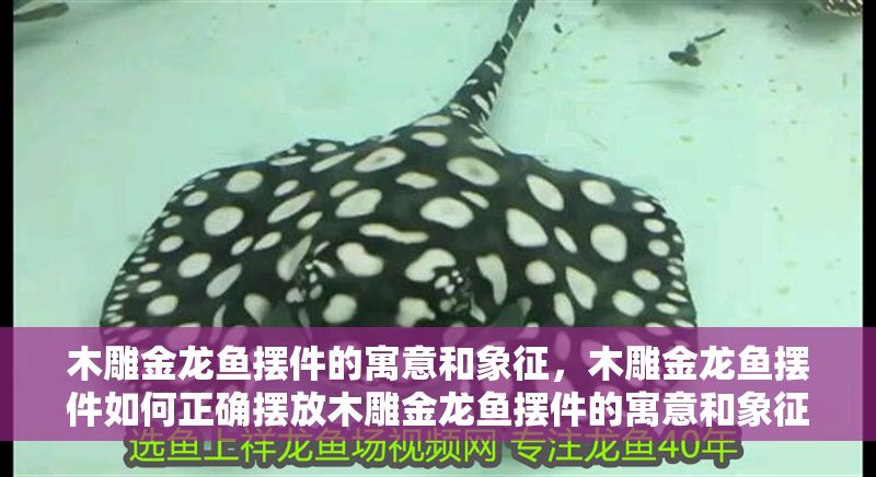 木雕金龍魚擺件的寓意和象征，木雕金龍魚擺件如何正確擺放木雕金龍魚擺件的寓意和象征意義