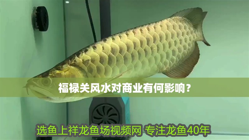 福祿關風水對商業有何影響？