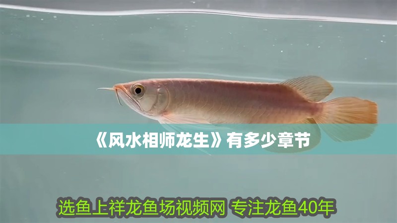《風水相師龍生》有多少章節