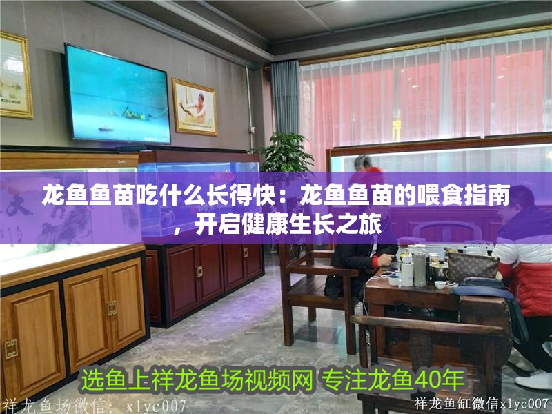 龍魚魚苗吃什么長得快：龍魚魚苗的喂食指南，開啟健康生長之旅