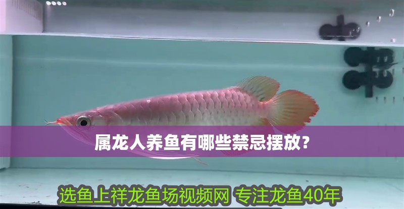 屬龍人養魚有哪些禁忌擺放？