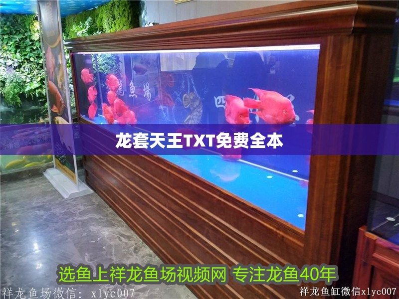 龍?zhí)滋焱鮐XT免費(fèi)全本