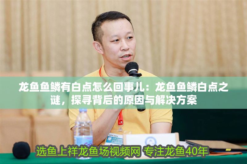 龍魚魚鱗有白點怎么回事兒：龍魚魚鱗白點之謎，探尋背后的原因與解決方案