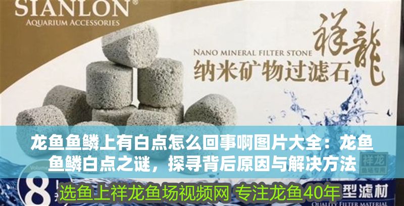 龍魚魚鱗上有白點(diǎn)怎么回事啊圖片大全：龍魚魚鱗白點(diǎn)之謎，探尋背后原因與解決方法