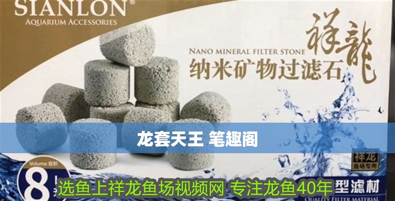 龍?zhí)滋焱?筆趣閣