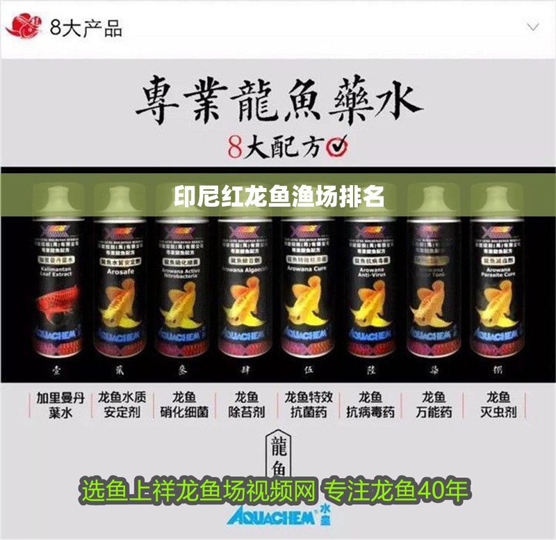 印尼紅龍魚漁場排名