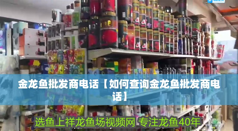 金龍魚批發(fā)商電話【如何查詢金龍魚批發(fā)商電話】