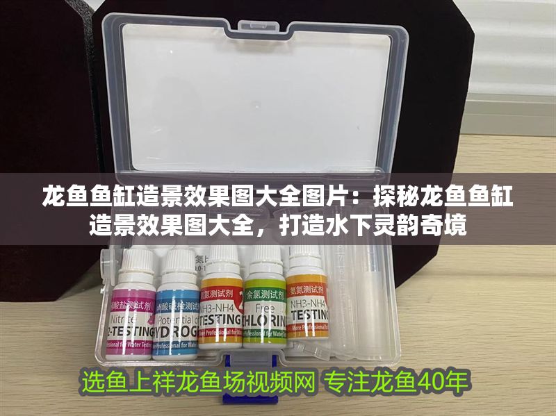 龍魚魚缸造景效果圖大全圖片：探秘龍魚魚缸造景效果圖大全，打造水下靈韻奇境