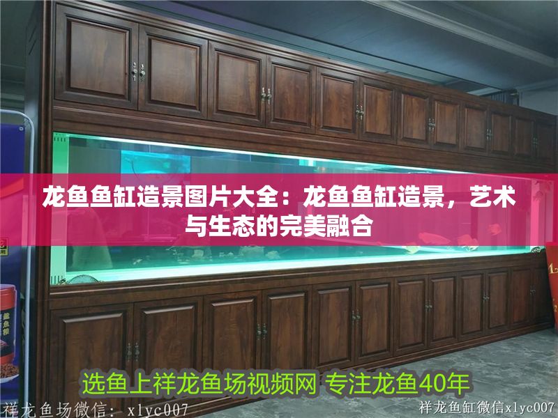龍魚魚缸造景圖片大全：龍魚魚缸造景，藝術與生態(tài)的完美融合