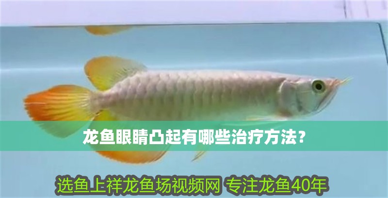 龍魚眼睛凸起有哪些治療方法？