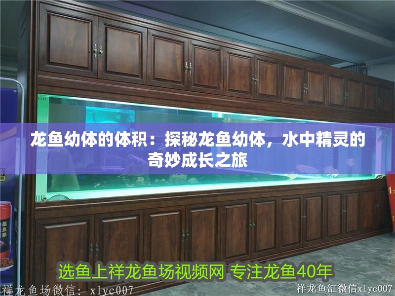 龍魚(yú)幼體的體積：探秘龍魚(yú)幼體，水中精靈的奇妙成長(zhǎng)之旅