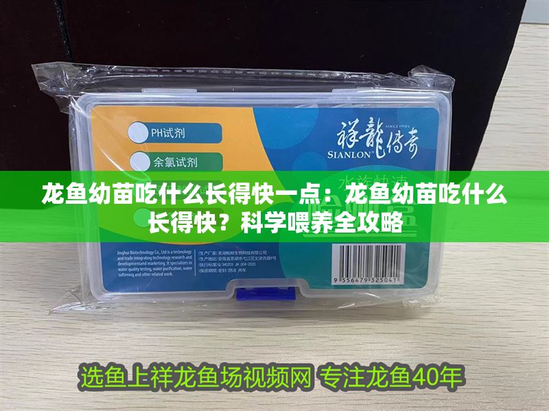 龍魚幼苗吃什么長得快一點：龍魚幼苗吃什么長得快？科學喂養全攻略