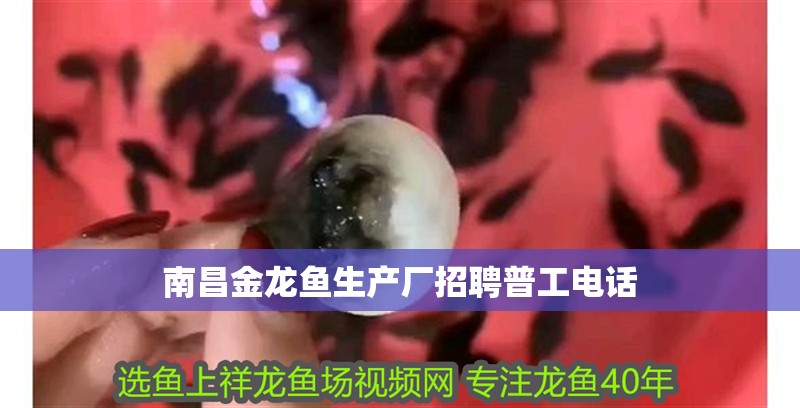 <strong><mark>南昌</mark></strong>金龍魚生產(chǎn)廠招聘普工電話