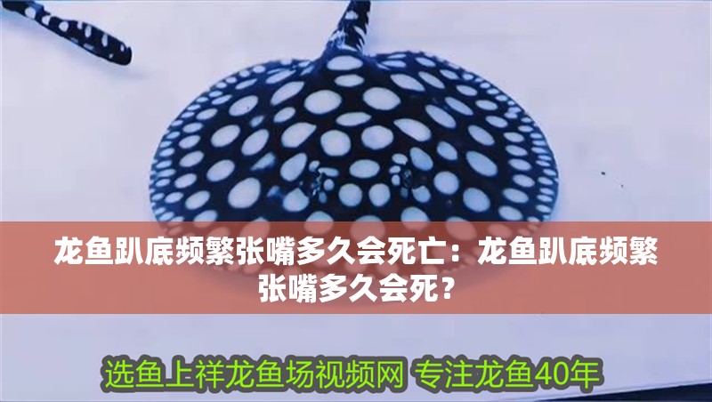 龍魚趴底頻繁張嘴多久會死亡：龍魚趴底頻繁張嘴多久會死？