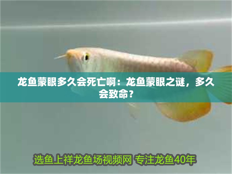 龍魚蒙眼多久會死亡啊：龍魚蒙眼之謎，多久會致命？
