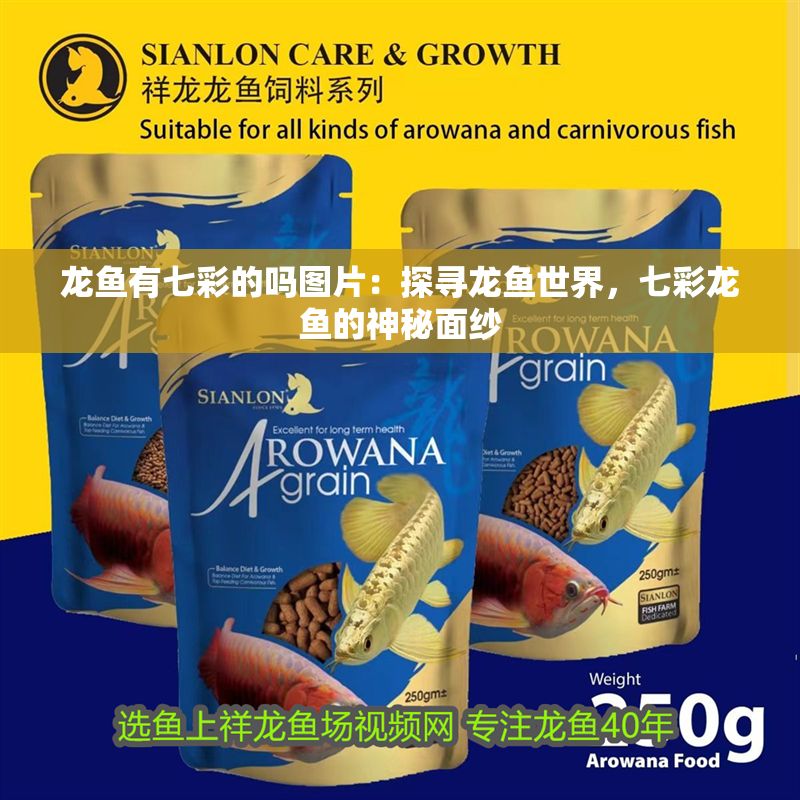 龍魚有七彩的嗎圖片：探尋龍魚世界，七彩龍魚的神秘面紗