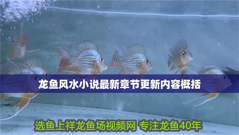 龍魚風水小說最新章節更新內容概括