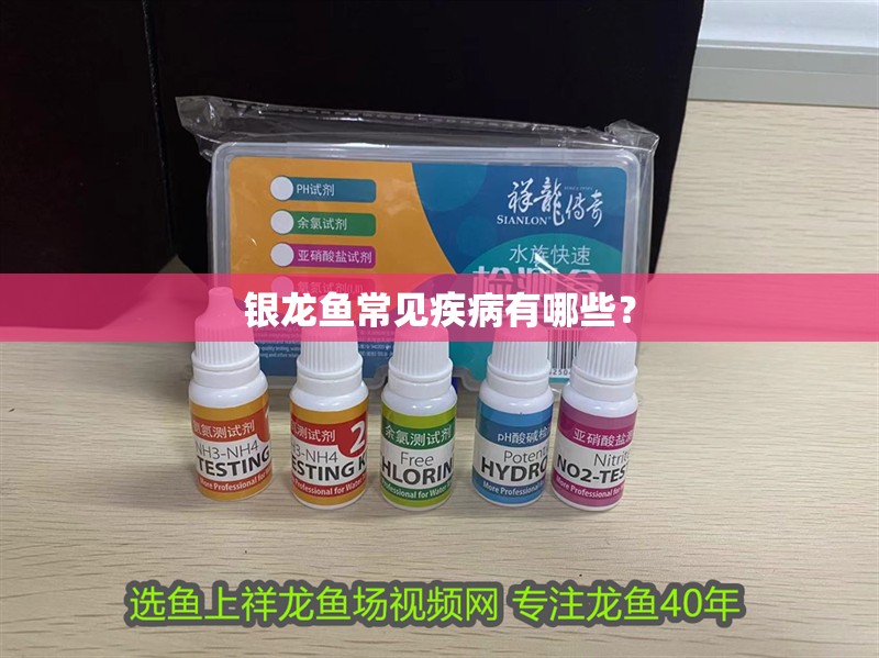 銀龍魚(yú)常見(jiàn)疾病有哪些？