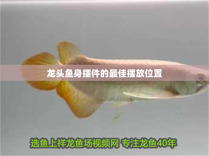 龍頭魚身擺件的最佳擺放位置