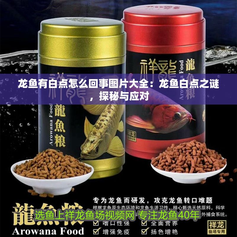 龍魚有白點怎么回事圖片大全：龍魚白點之謎，探秘與應對