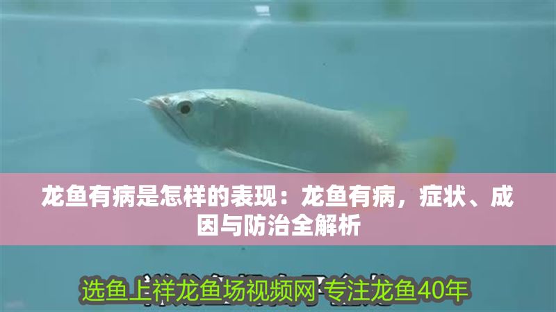 龍魚有病是怎樣的表現：龍魚有病，癥狀、成因與防治全解析