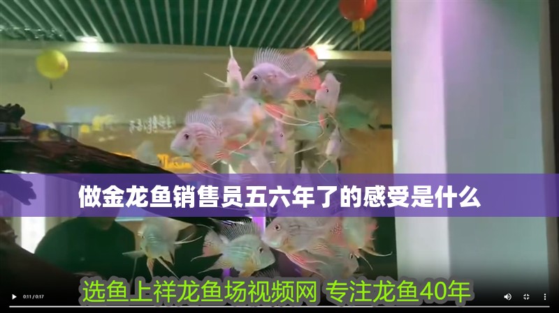 做金龍魚銷售員五六年了的感受是什么