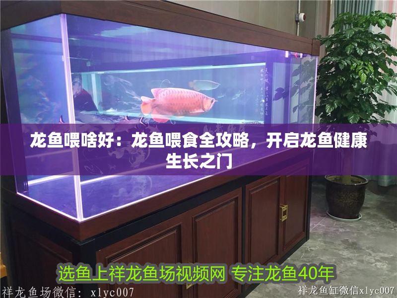 龍魚(yú)喂啥好：龍魚(yú)喂食全攻略，開(kāi)啟龍魚(yú)健康生長(zhǎng)之門(mén)
