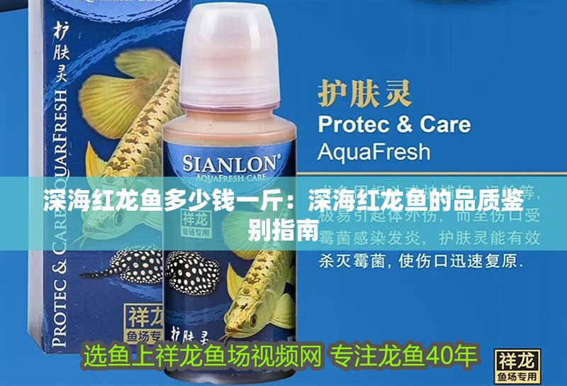 深海紅龍魚多少錢一斤：深海紅龍魚的品質鑒別指南