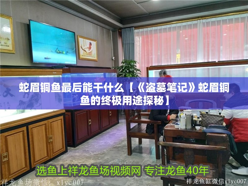 蛇眉銅魚最后能干什么【《盜墓筆記》蛇眉銅魚的終極用途探秘】