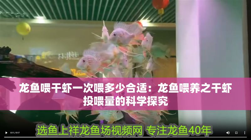 龍魚喂干蝦一次喂多少合適：龍魚喂養之干蝦投喂量的科學探究
