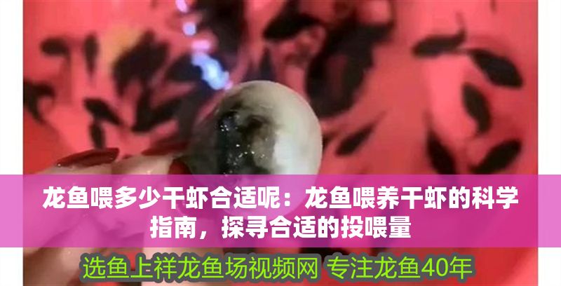 龍魚喂多少干蝦合適呢：龍魚喂養干蝦的科學指南，探尋合適的投喂量