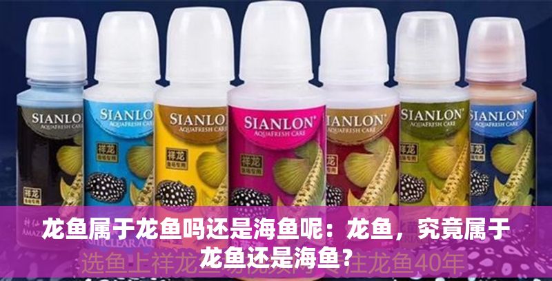 龍魚屬于龍魚嗎還是海魚呢：龍魚，究竟屬于龍魚還是海魚？