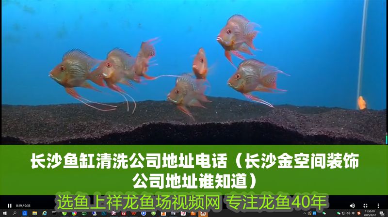 長沙魚缸清洗公司地址電話（長沙金空間裝飾公司地址誰知道）