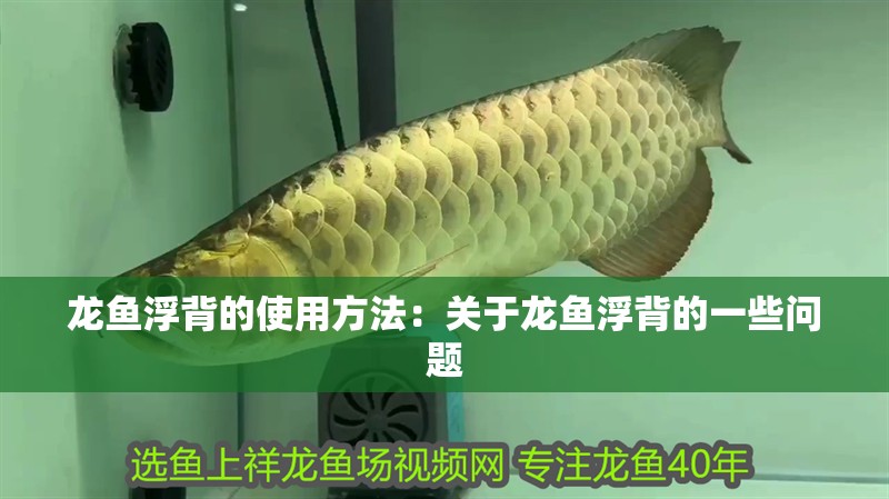 龍魚浮背的使用方法：關于龍魚浮背的一些問題