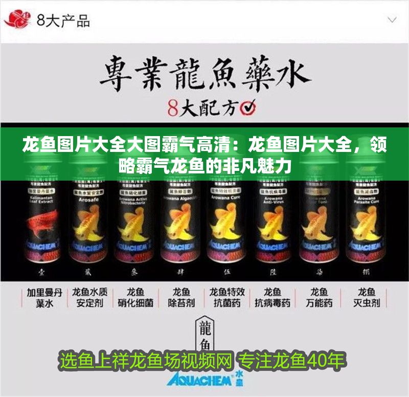 龍魚圖片大全大圖霸氣高清：龍魚圖片大全，領略霸氣龍魚的非凡魅力