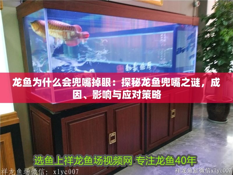龍魚為什么會兜嘴掉眼：探秘龍魚兜嘴之謎，成因、影響與應對策略