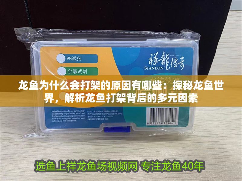 龍魚為什么會打架的原因有哪些：探秘龍魚世界，解析龍魚打架背后的多元因素