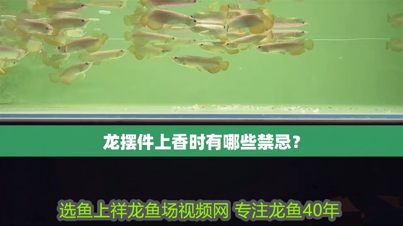 龍擺件上香時(shí)有哪些禁忌？ 龍擺件上香時(shí)有哪些禁忌？ 龍魚(yú)百科