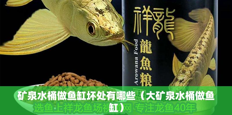 礦泉水桶做魚缸壞處有哪些（大礦泉水桶做魚缸）