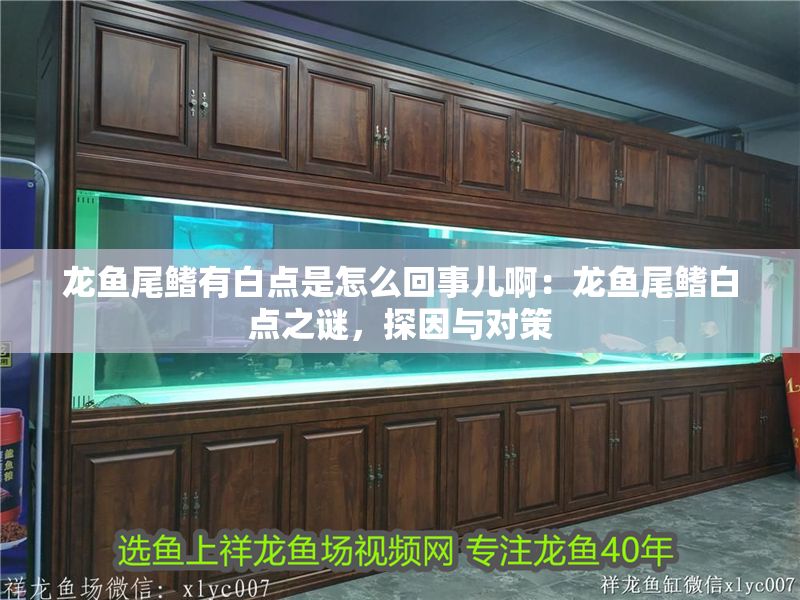 龍魚尾鰭有白點是怎么回事兒?。糊堲~尾鰭白點之謎，探因與對策