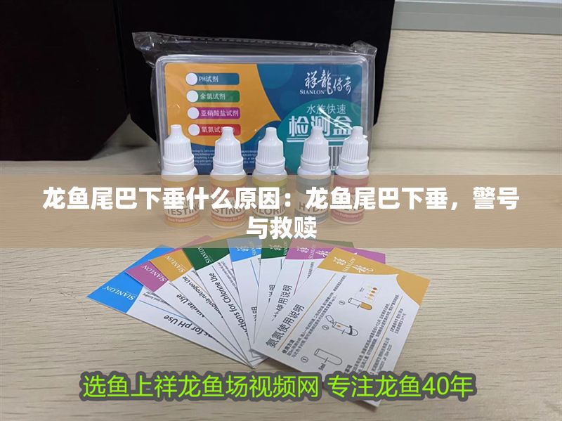 龍魚尾巴下垂什么原因：龍魚尾巴下垂，警號與救贖