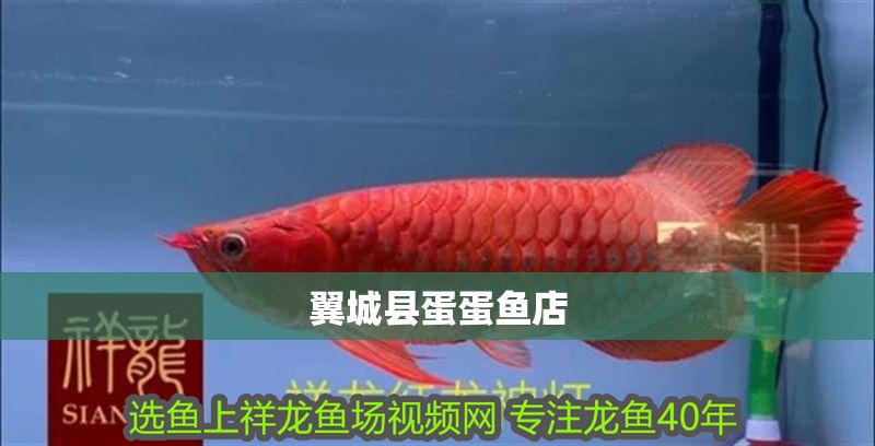 翼城縣蛋蛋魚店