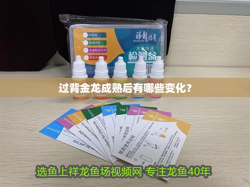 過背金龍成熟后有哪些變化？